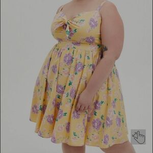 Mini Poplin Tie-Front Skater Dress